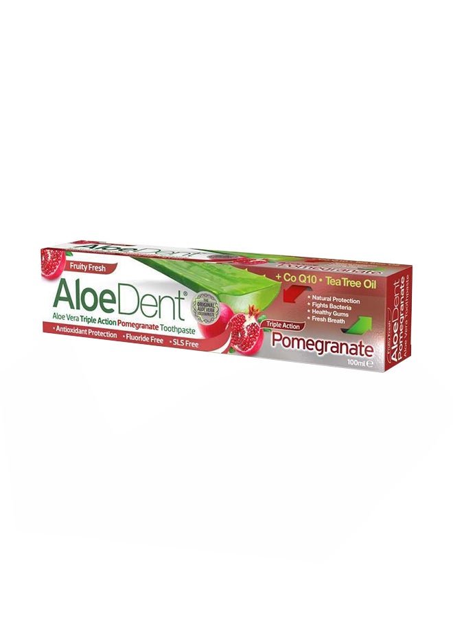 Aloedent Toothpaste Triple Action Pomegranate 100ml
